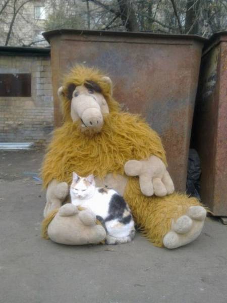 daily picdump 92 pics 35.html - 92 HD Photos | Premium Gallery 2016