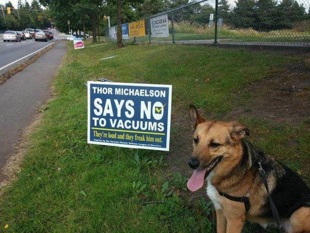 daily picdump 92 pics 35.html - 92 HD Photos | Premium Gallery 2016