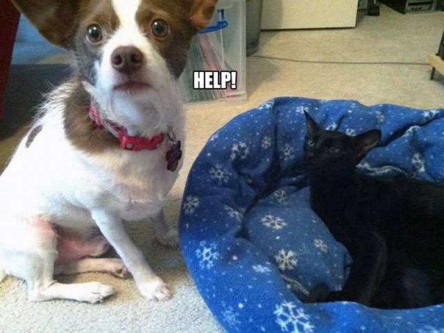 daily picdump 92 pics 35.html - 92 HD Photos | Premium Gallery 2016