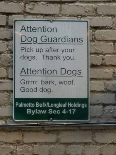 daily picdump 92 pics 35.html - 92 HD Photos | Premium Gallery 2016