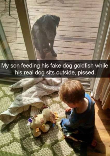 daily picdump 92 pics 35.html - 92 HD Photos | Premium Gallery 2016