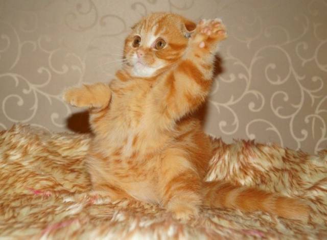 daily picdump 92 pics 35.html - 92 HD Photos | Premium Gallery 2016