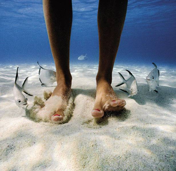 daily picdump 92 pics 35.html - 92 HD Photos | Premium Gallery 2016