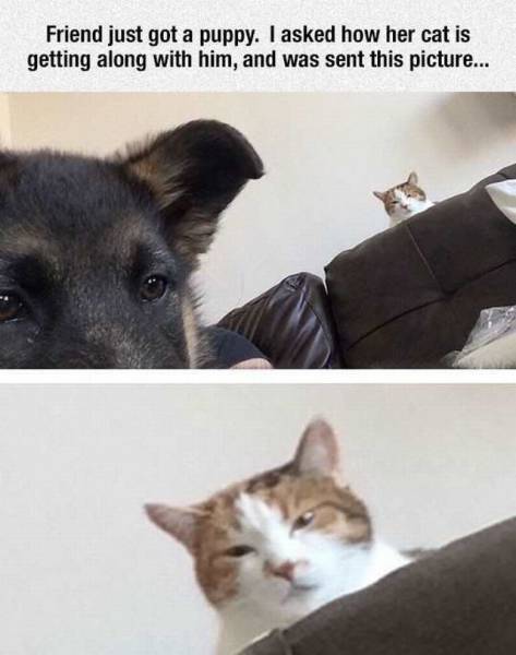 daily picdump 92 pics 35.html - 92 HD Photos | Premium Gallery 2016