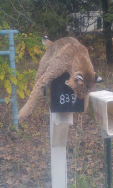 daily picdump 92 pics 35.html - 92 HD Photos | Premium Gallery 2016