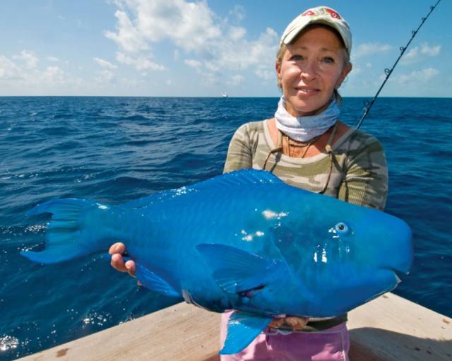 morning picdump 50 pics 20.html - 50 HD Photos | Premium Gallery 2016