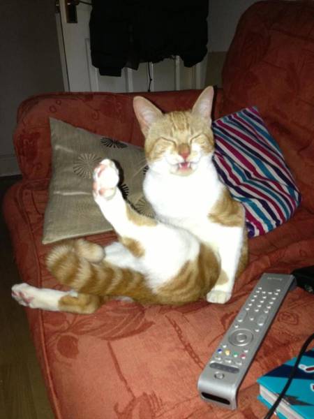 morning picdump 50 pics 20.html - 50 HD Photos | Premium Gallery 2016