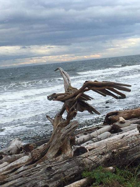 morning picdump 50 pics 20.html - 50 HD Photos | Premium Gallery 2016