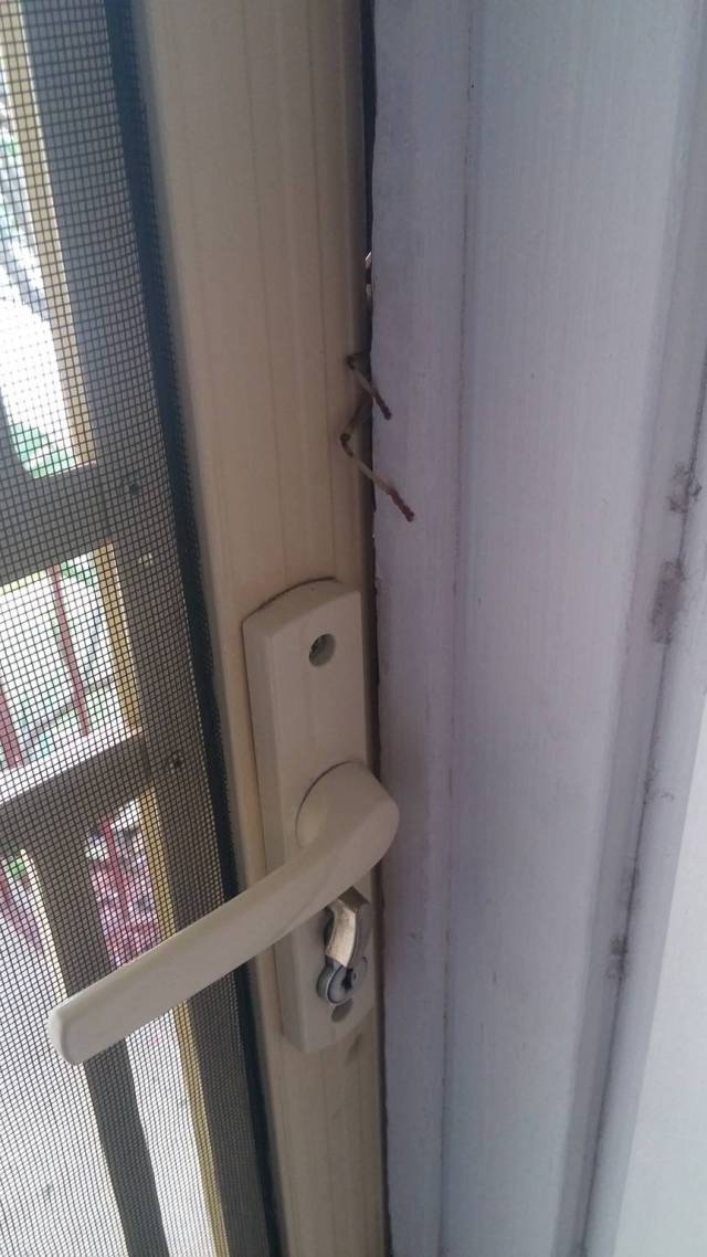 morning picdump 50 pics 20.html - 50 HD Photos | Premium Gallery 2016