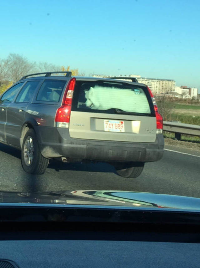 morning picdump 50 pics 20.html - 50 HD Photos | Premium Gallery 2016