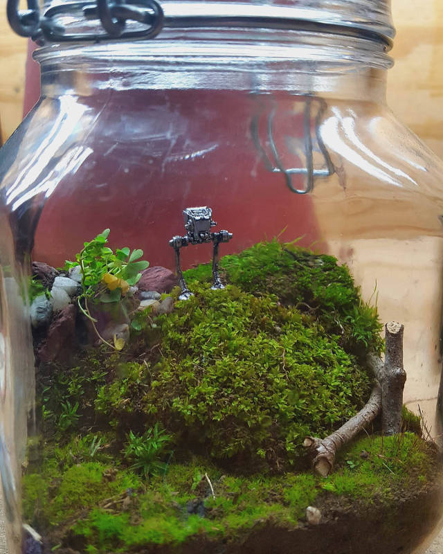 morning picdump 50 pics 20.html - 50 HD Photos | Premium Gallery 2016