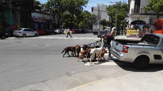 daily picdump 99 pics 46.html - 99 HD Photos | Premium Gallery 2016