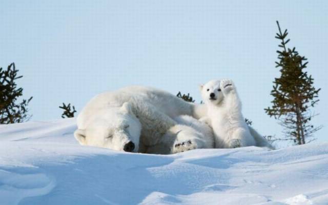 daily picdump 99 pics 46.html - 99 HD Photos | Premium Gallery 2016