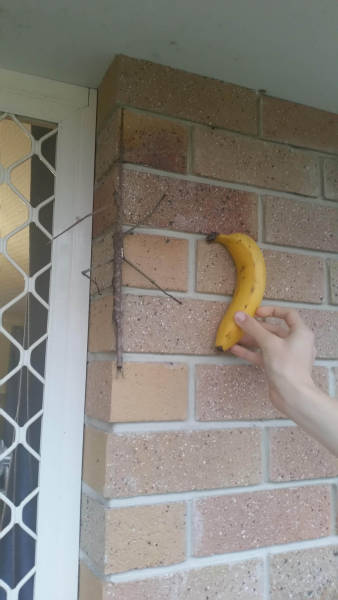daily picdump weekend edition 55 pics 17.html - 55 HD Photos | Premium Gallery 2016
