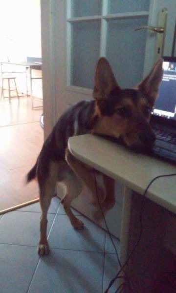 Morning Picdump