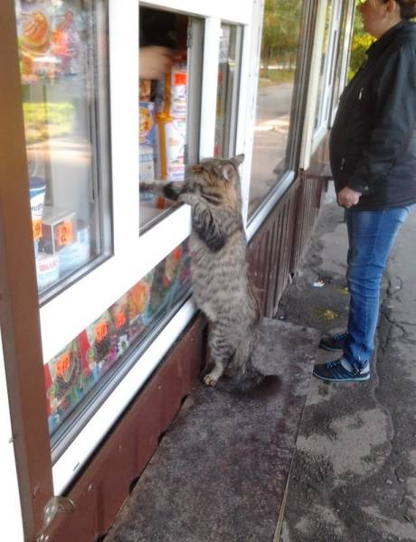 Morning Picdump