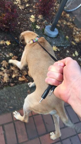 morning picdump 52 pics 3.html - 52 HD Photos | Premium Gallery 2016