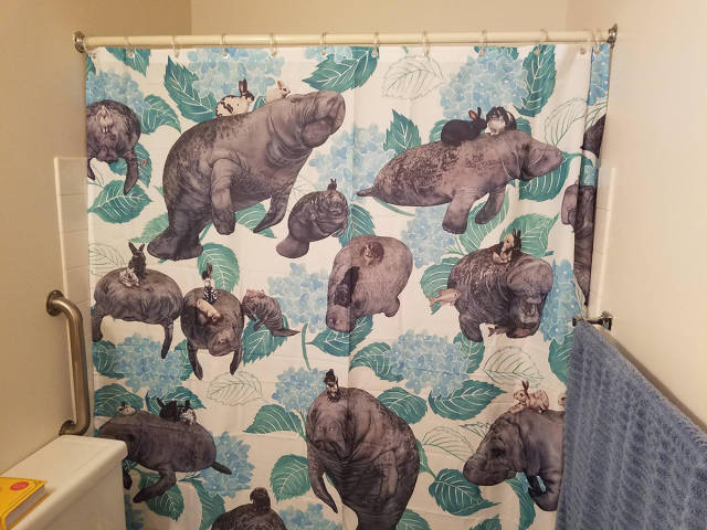 morning picdump 52 pics 3.html - 52 HD Photos | Premium Gallery 2016