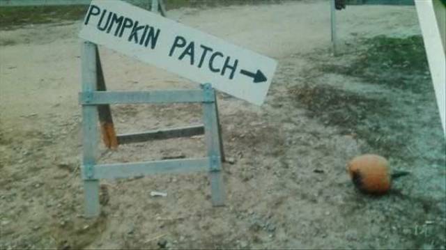 daily picdump 96 pics 38.html - 96 HD Photos | Premium Gallery 2016