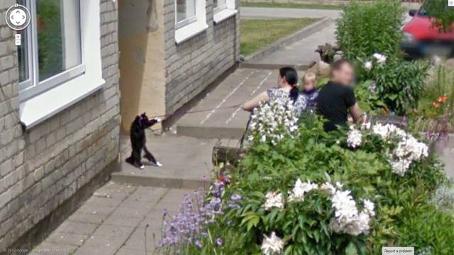 daily picdump 96 pics 38.html - 96 HD Photos | Premium Gallery 2016