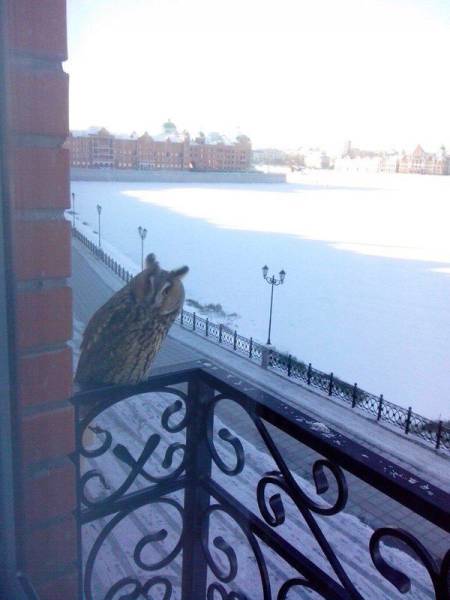 daily picdump 96 pics 38.html - 96 HD Photos | Premium Gallery 2016