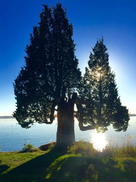 daily picdump 96 pics 38.html - 96 HD Photos | Premium Gallery 2016