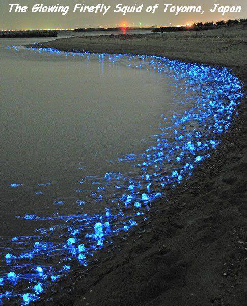 daily picdump 96 pics 38.html - 96 HD Photos | Premium Gallery 2016