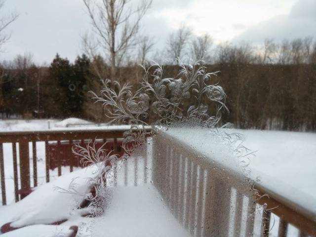 morning picdump 50 pics 3.html - 50 HD Photos | Premium Gallery 2016