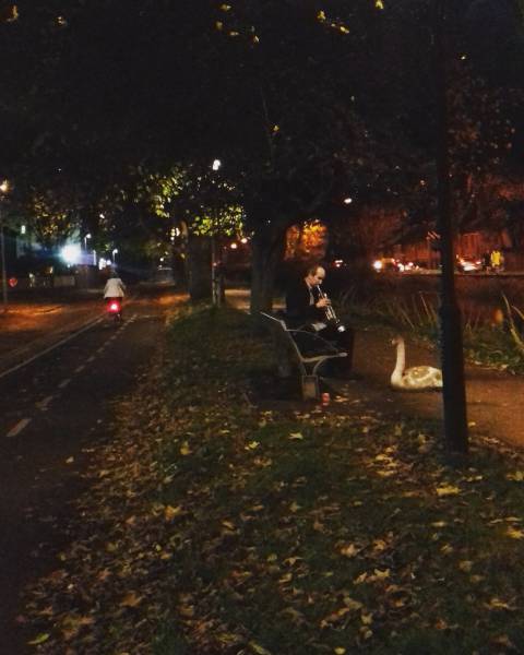 morning picdump 50 pics 3.html - 50 HD Photos | Premium Gallery 2016