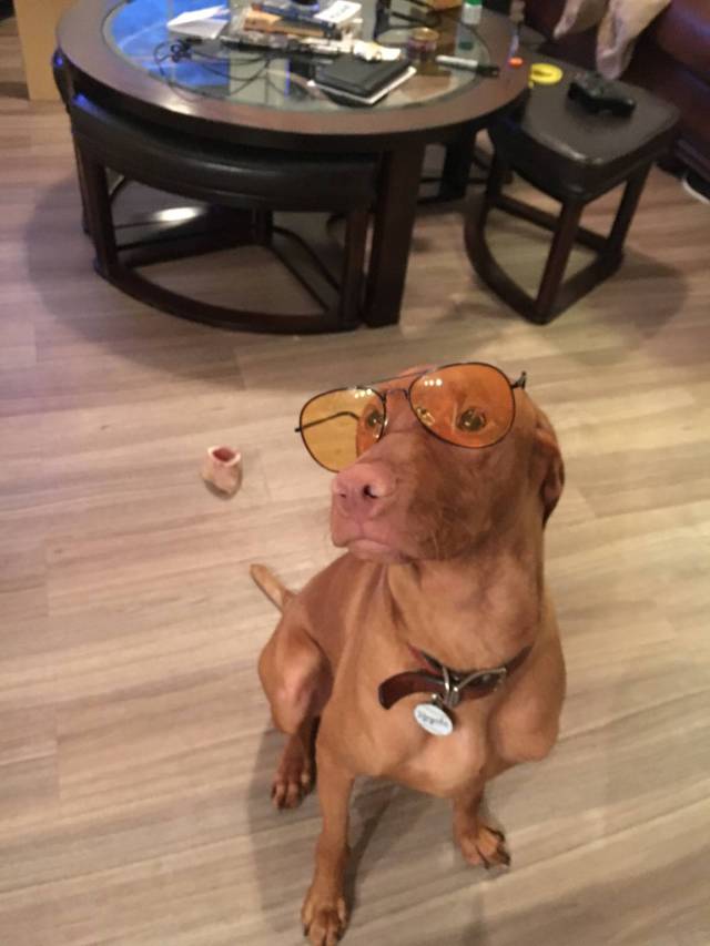 morning picdump 50 pics 3.html - 50 HD Photos | Premium Gallery 2016