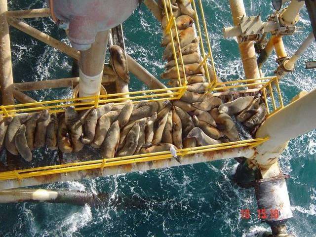 daily picdump 95 pics 24.html - 95 HD Photos | Premium Gallery 2016