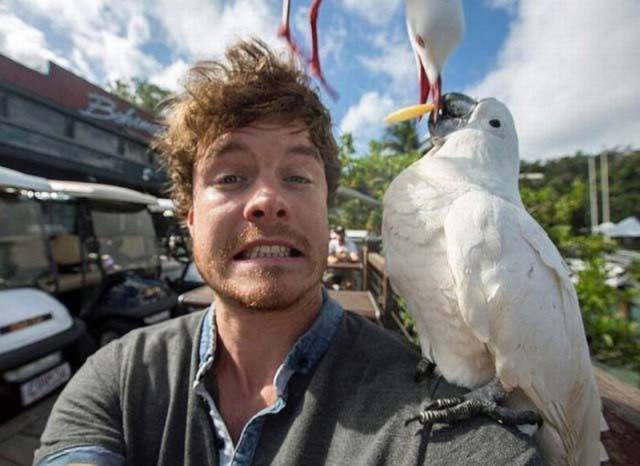 daily picdump 95 pics 24.html - 95 HD Photos | Premium Gallery 2016