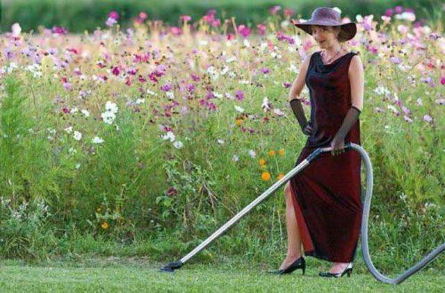 daily picdump 95 pics 24.html - 95 HD Photos | Premium Gallery 2016