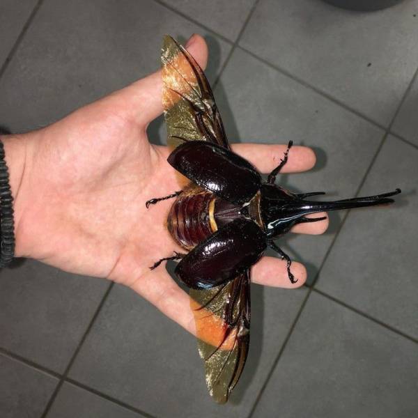 daily picdump 95 pics 24.html - 95 HD Photos | Premium Gallery 2016