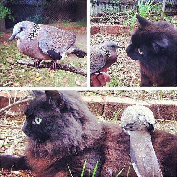 daily picdump 95 pics 24.html - 95 HD Photos | Premium Gallery 2016