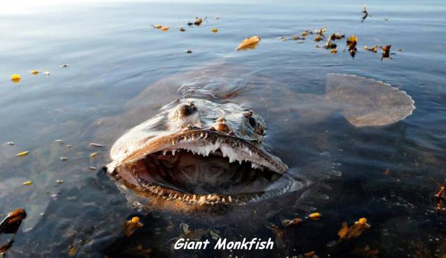 daily picdump 95 pics 24.html - 95 HD Photos | Premium Gallery 2016