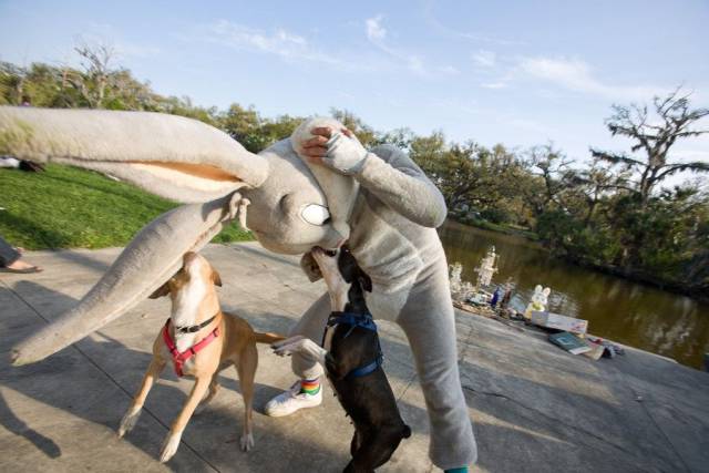 daily picdump 95 pics 24.html - 95 HD Photos | Premium Gallery 2016