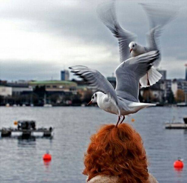 daily picdump 95 pics 24.html - 95 HD Photos | Premium Gallery 2016