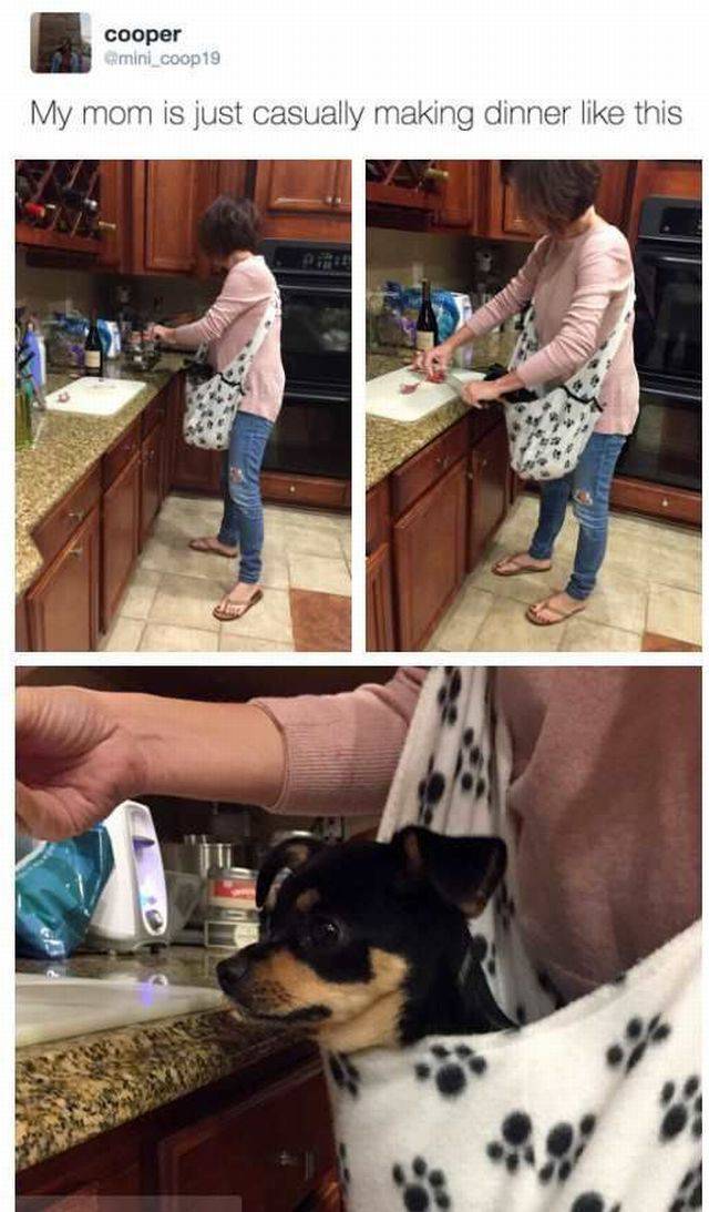 daily picdump 95 pics 24.html - 95 HD Photos | Premium Gallery 2016