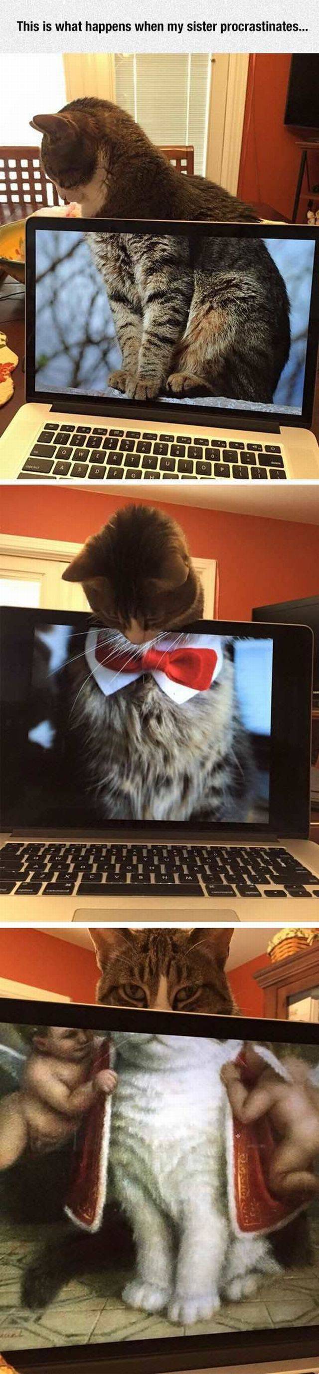 daily picdump 95 pics 24.html - 95 HD Photos | Premium Gallery 2016