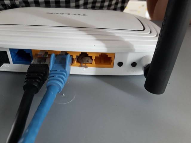 morning picdump 50 pics 17.html - 50 HD Photos | Premium Gallery 2016