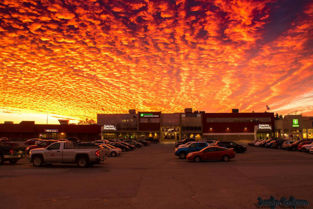 morning picdump 51 pics 12.html - 51 HD Photos | Premium Gallery 2016