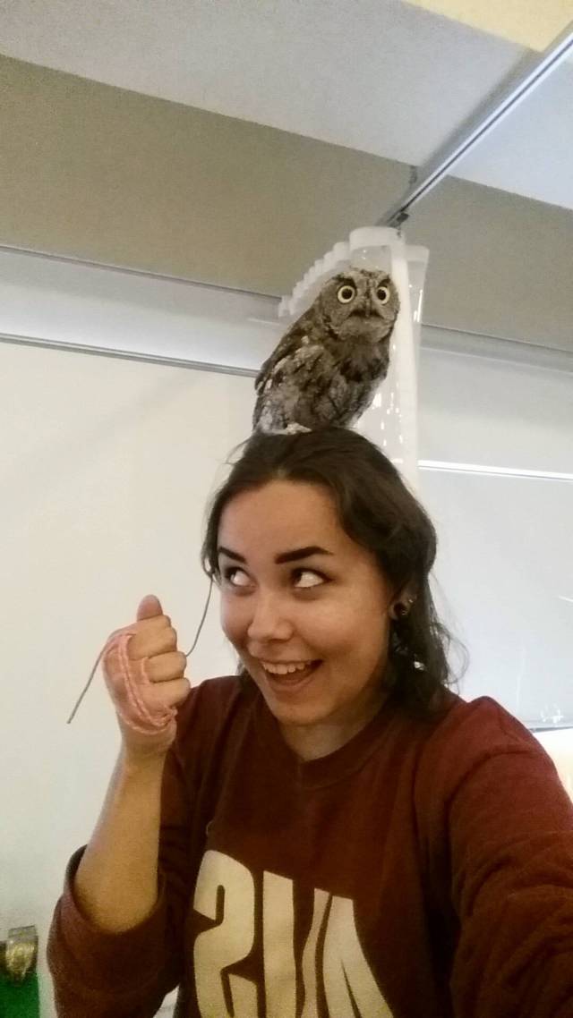 morning picdump 51 pics 12.html - 51 HD Photos | Premium Gallery 2016