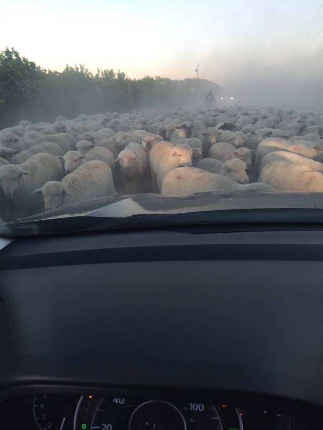 morning picdump 51 pics 12.html - 51 HD Photos | Premium Gallery 2016