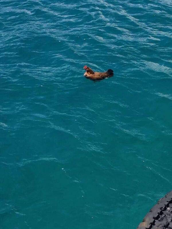 morning picdump 51 pics 12.html - 51 HD Photos | Premium Gallery 2016