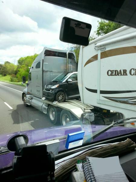 Daily Picdump [WEEKEND EDITION]