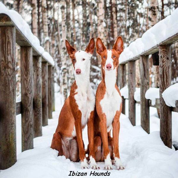 Daily Picdump [WEEKEND EDITION]