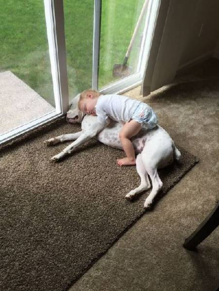 Daily Picdump [WEEKEND EDITION]