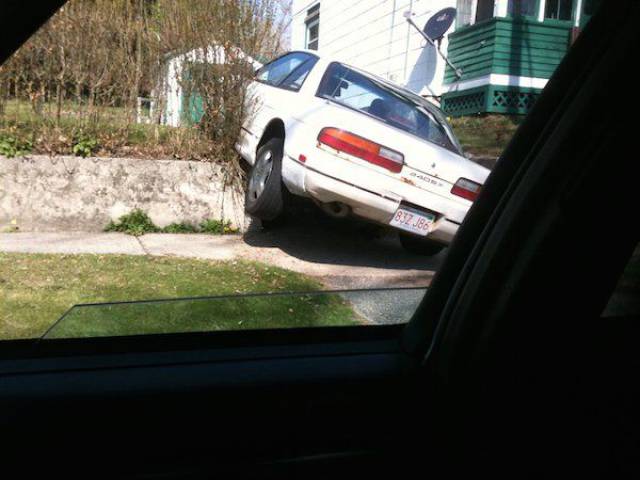 Daily Picdump [WEEKEND EDITION]