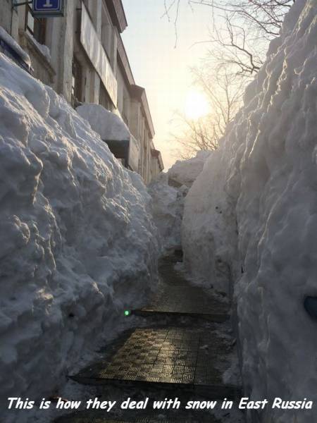 Daily Picdump [WEEKEND EDITION]